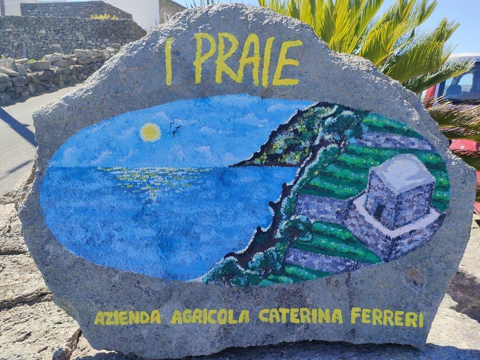 Azienda Agricola Caterina Ferreri