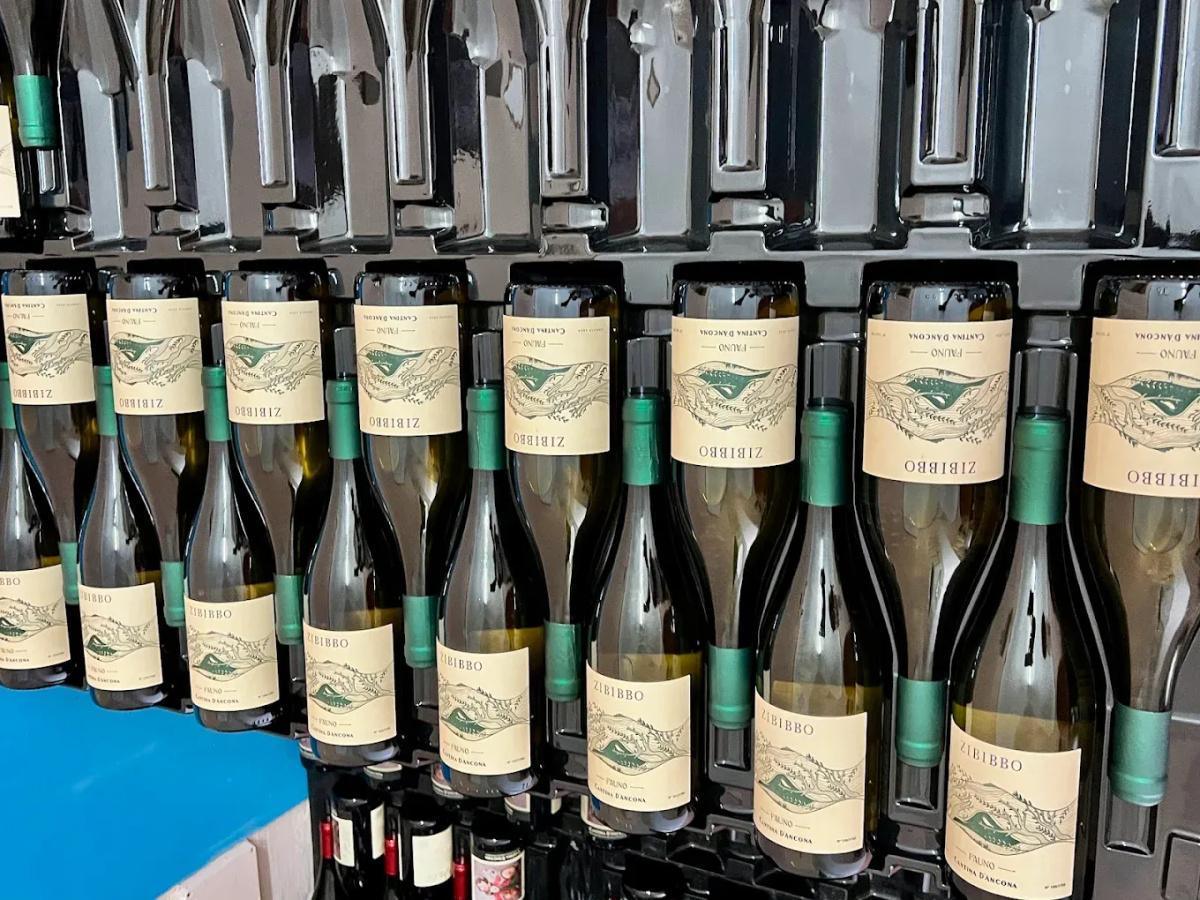 Cantina D'Ancona