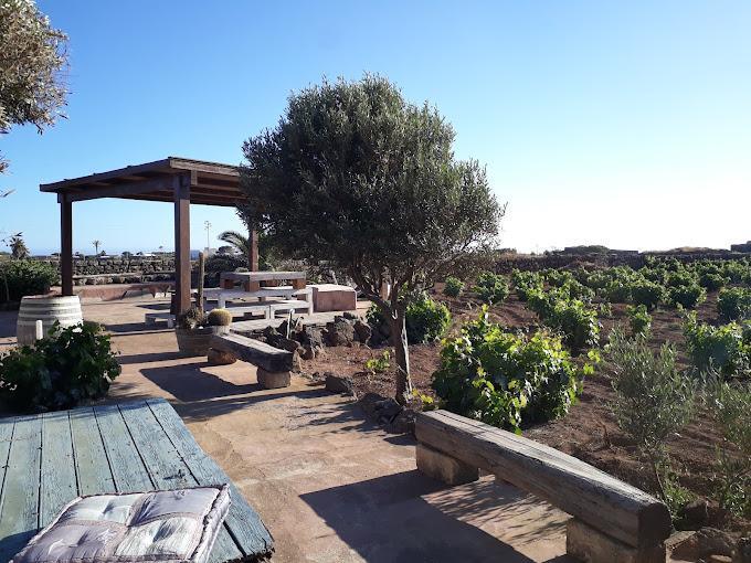 Azienda Vinicola Marco De Bartoli