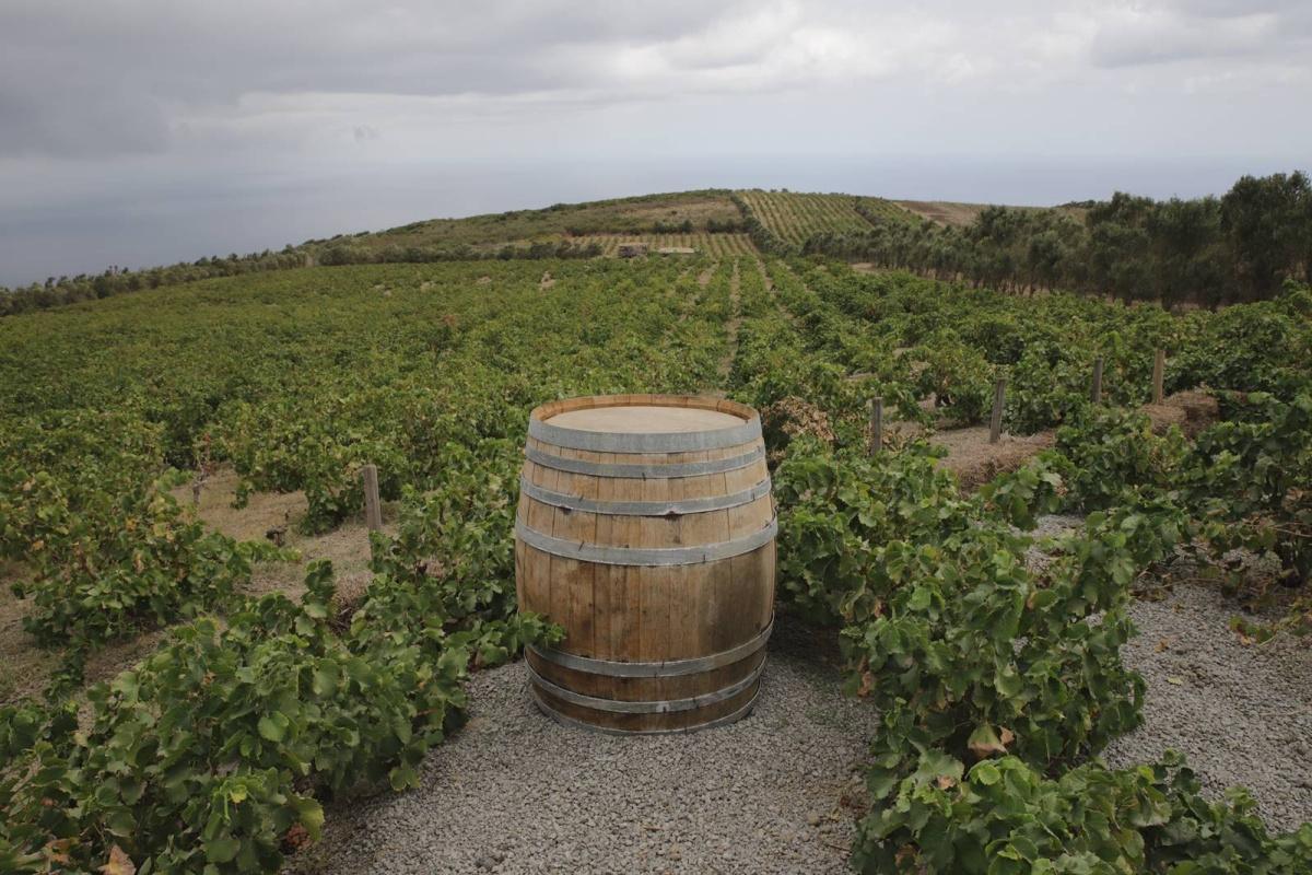 Abraxas Pantelleria