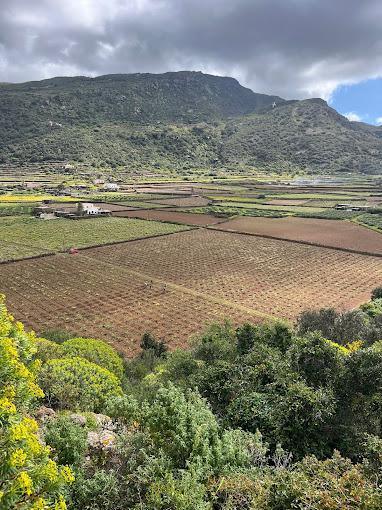 Cantina Valenza