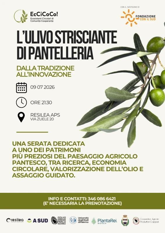 L'Ulivo strisciante di Pantelleria: dalla tradizione all'innovazione (dalle ore 21.30) L'Ulivo strisciante di Pantelleria: dalla tradizione all'innovazione (dalle ore 21.30)