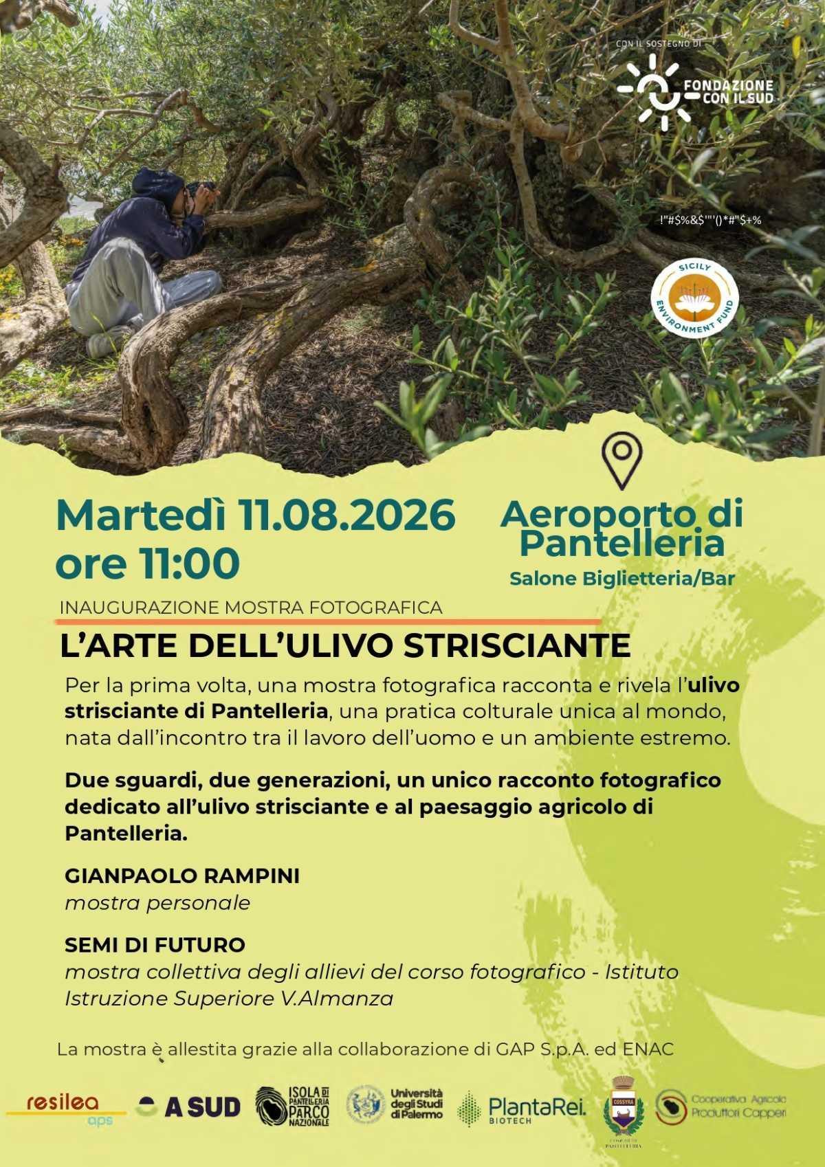 L'Arte dell'Ulivo Strisciante - mostra fotografica L'Arte dell'Ulivo Strisciante - mostra fotografica
