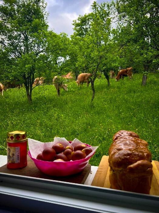 Agro Bodrean Agro Bodrean