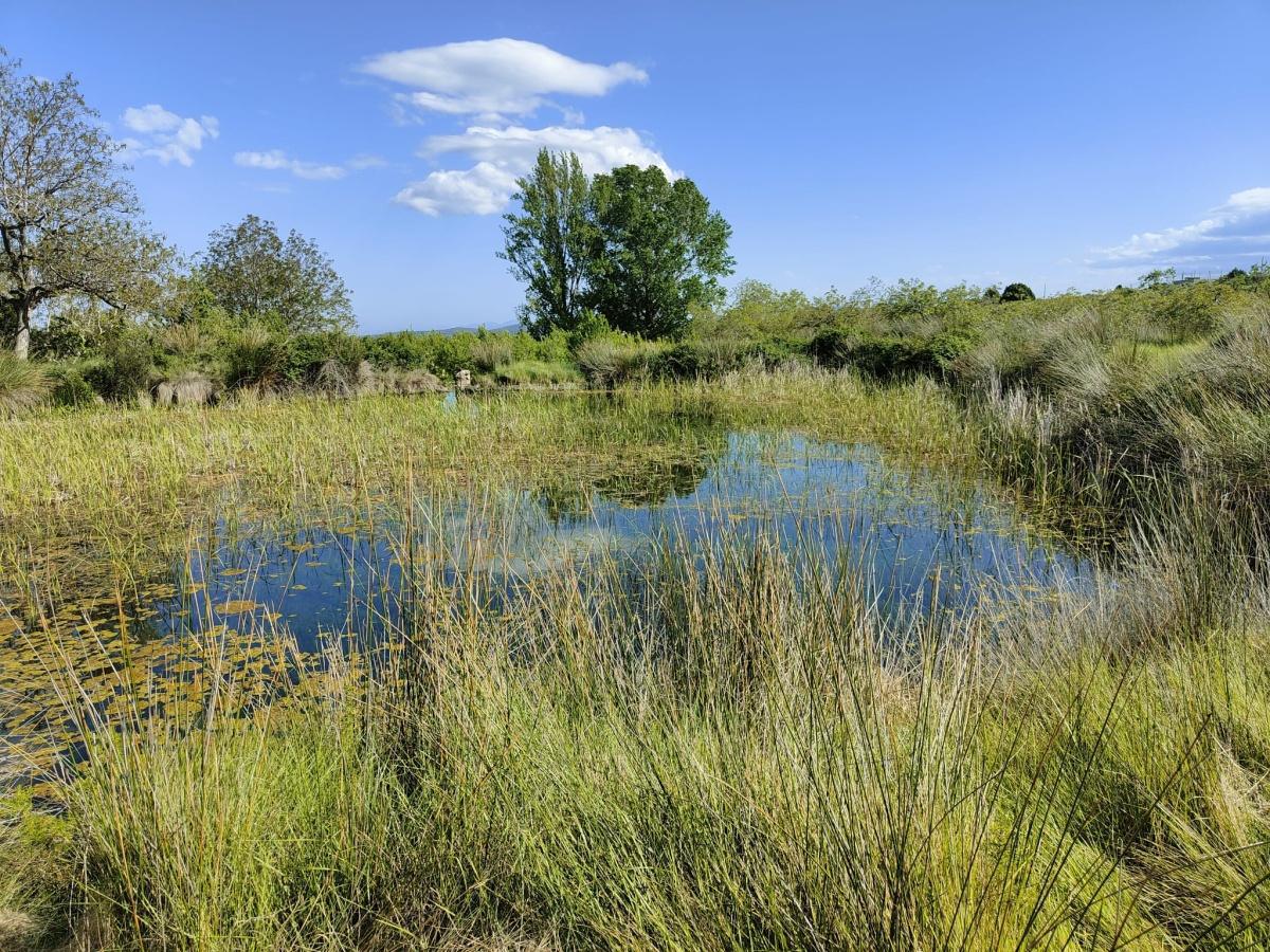 Masadas Blancas Masadas Blancas