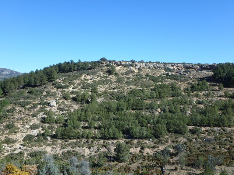 RUTA 12: LOS INFANTES Y MORREDONDO RUTA 12: LOS INFANTES Y MORREDONDO