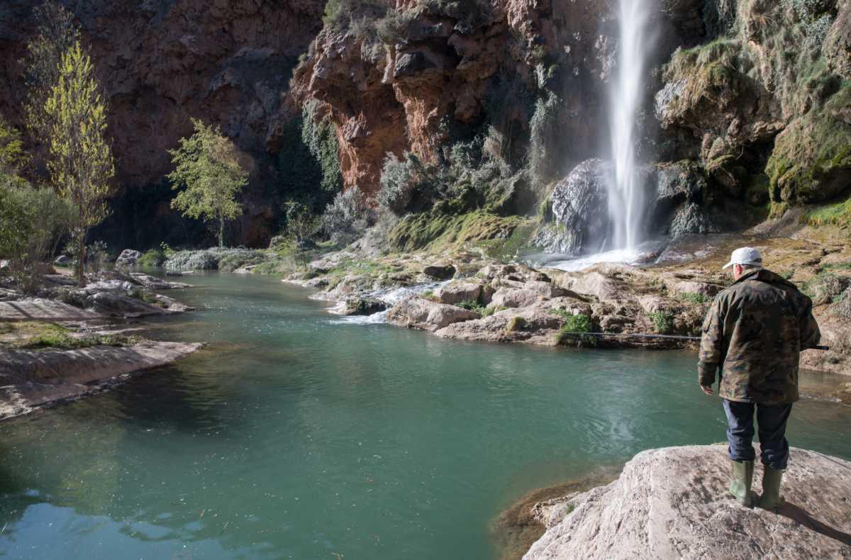 Visitar los alrededores