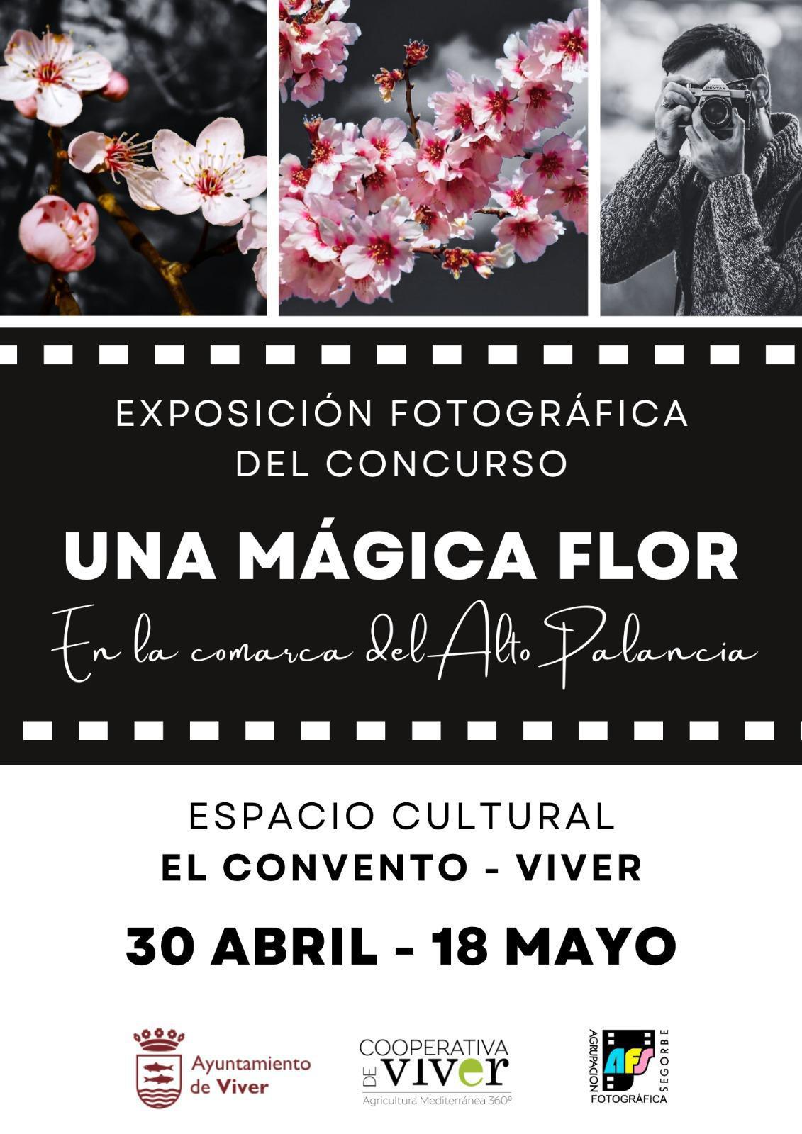 Exposición Fotográfica: "Una mágica flor en la comarca del Alto Palancia" Exposición Fotográfica: "Una mágica flor en la comarca del Alto Palancia"