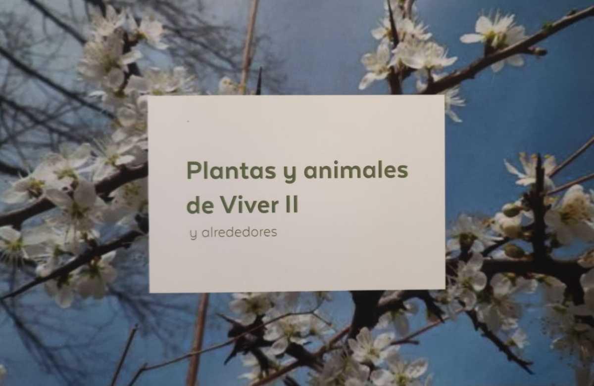 Presentación del CUADERNO DE PLANTAS Y ANIMALES DE VIVER II