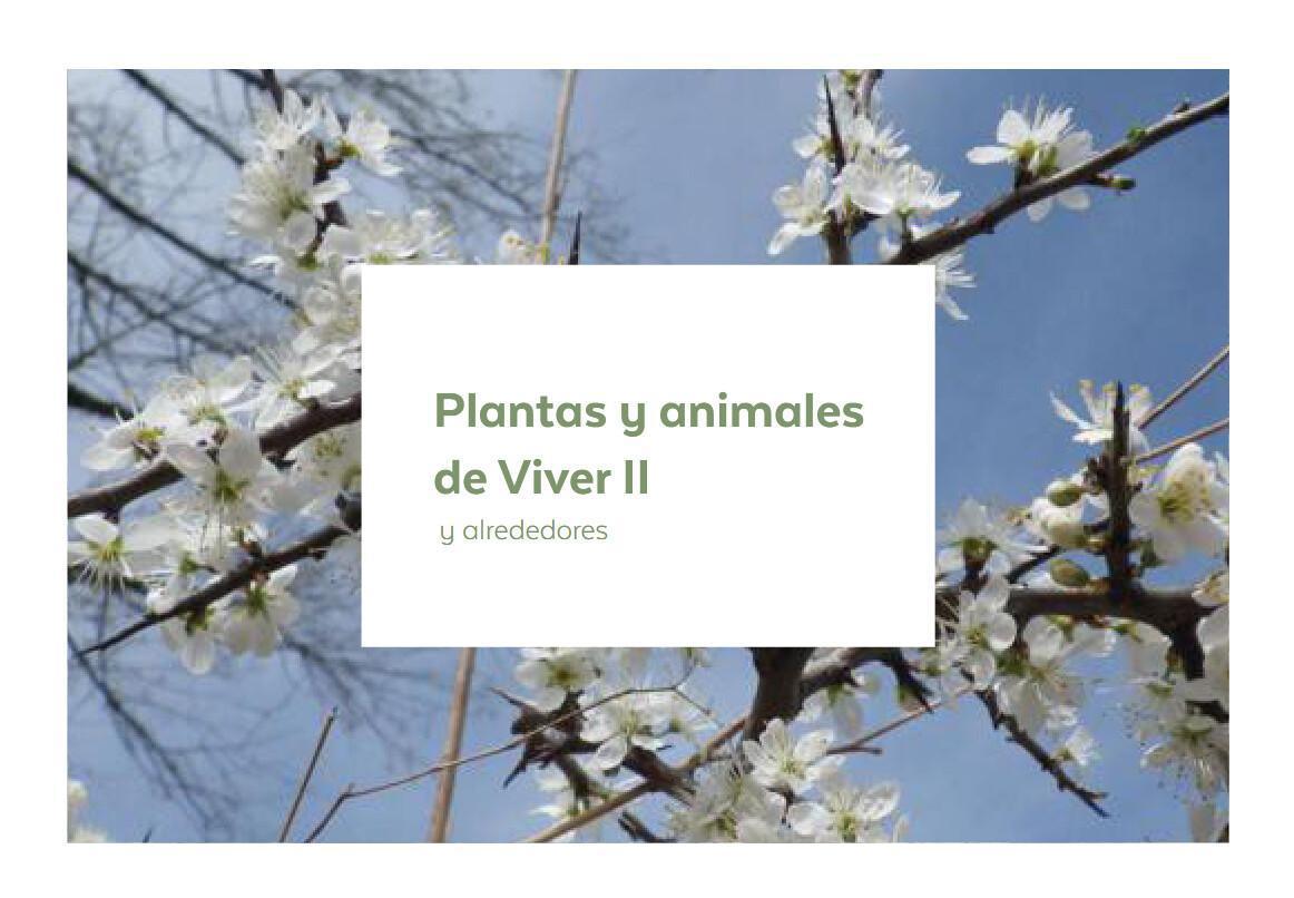 Plantas y animales de Viver y alrededores (I y II) y Geología básica de Viver