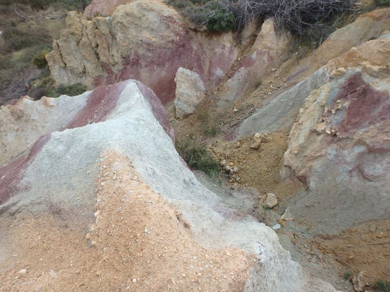 Plantas y animales de Viver y alrededores (I y II) y Geología básica de Viver