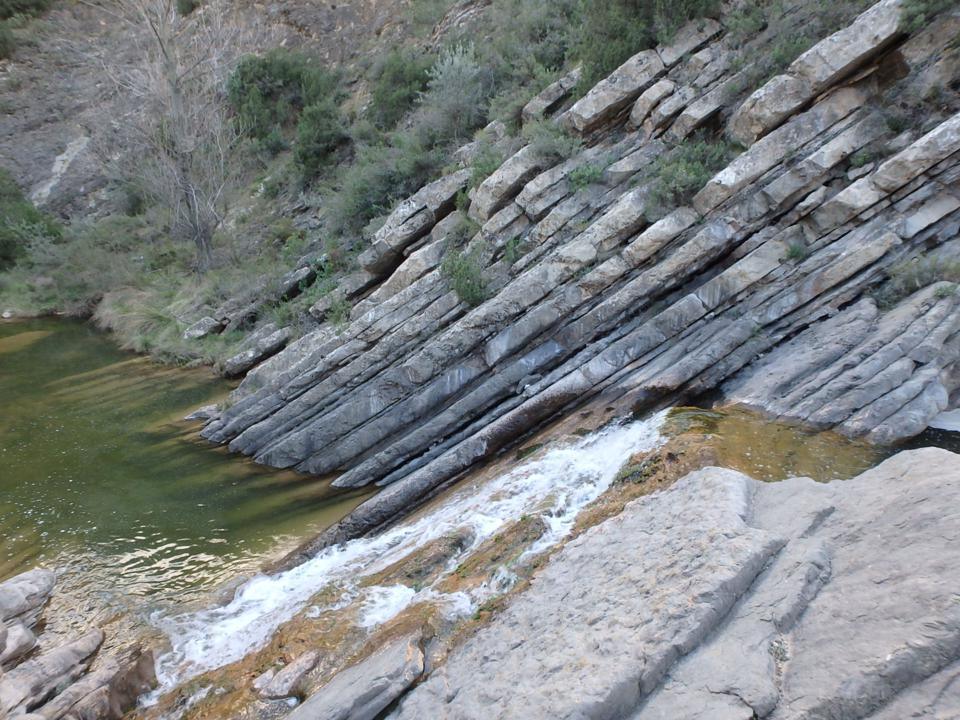 Plantas y animales de Viver y alrededores (I y II) y Geología básica de Viver