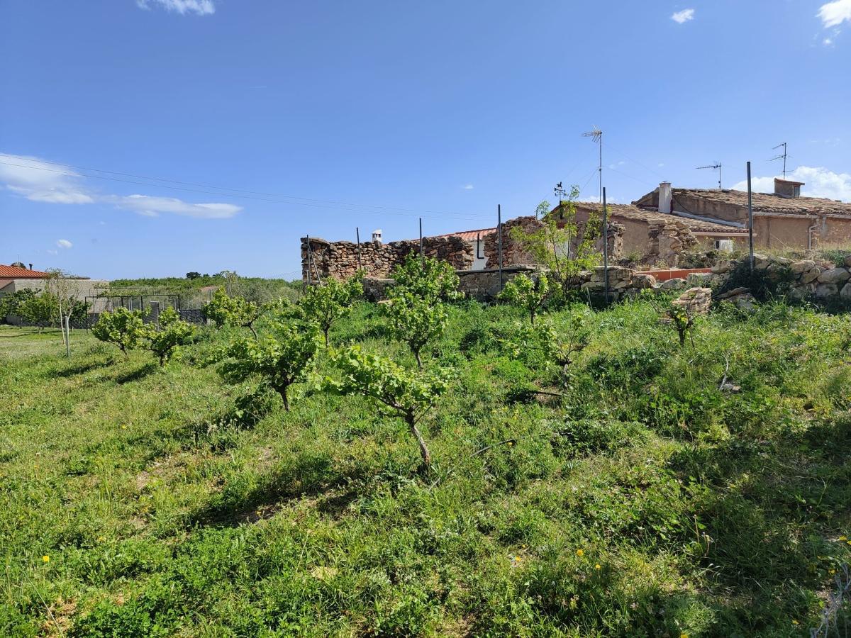 El Legado Vitivinícola de Viver: Historia, Tradición y Cubos Lagar El Legado Vitivinícola de Viver: Historia, Tradición y Cubos Lagar