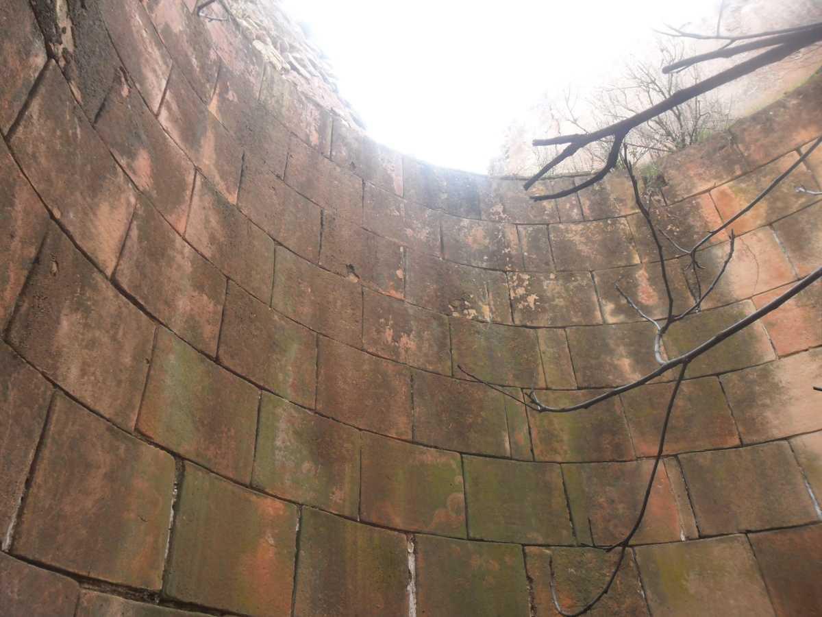 El Legado Vitivinícola de Viver: Historia, Tradición y Cubos Lagar El Legado Vitivinícola de Viver: Historia, Tradición y Cubos Lagar