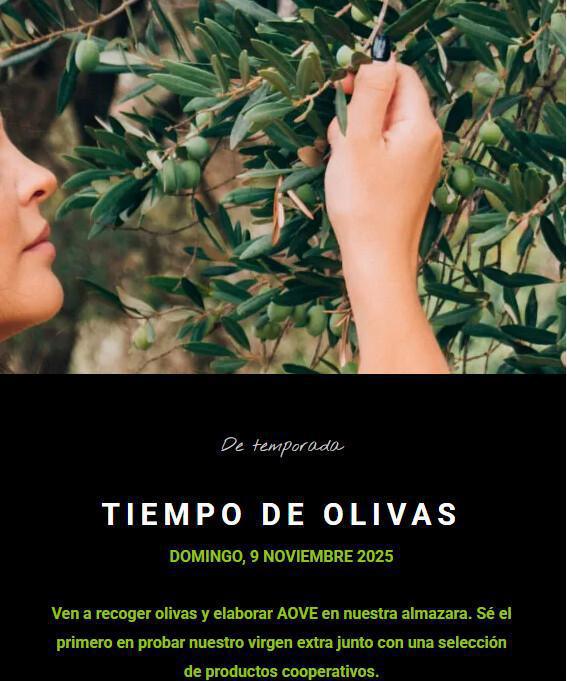 Tiempo de olivas