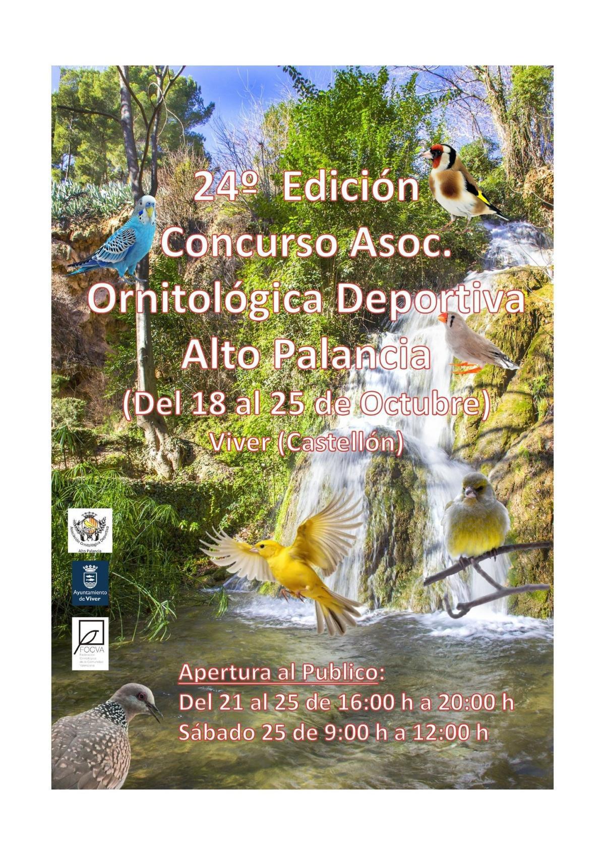 Concurso ornitológico del Alto Palancia 