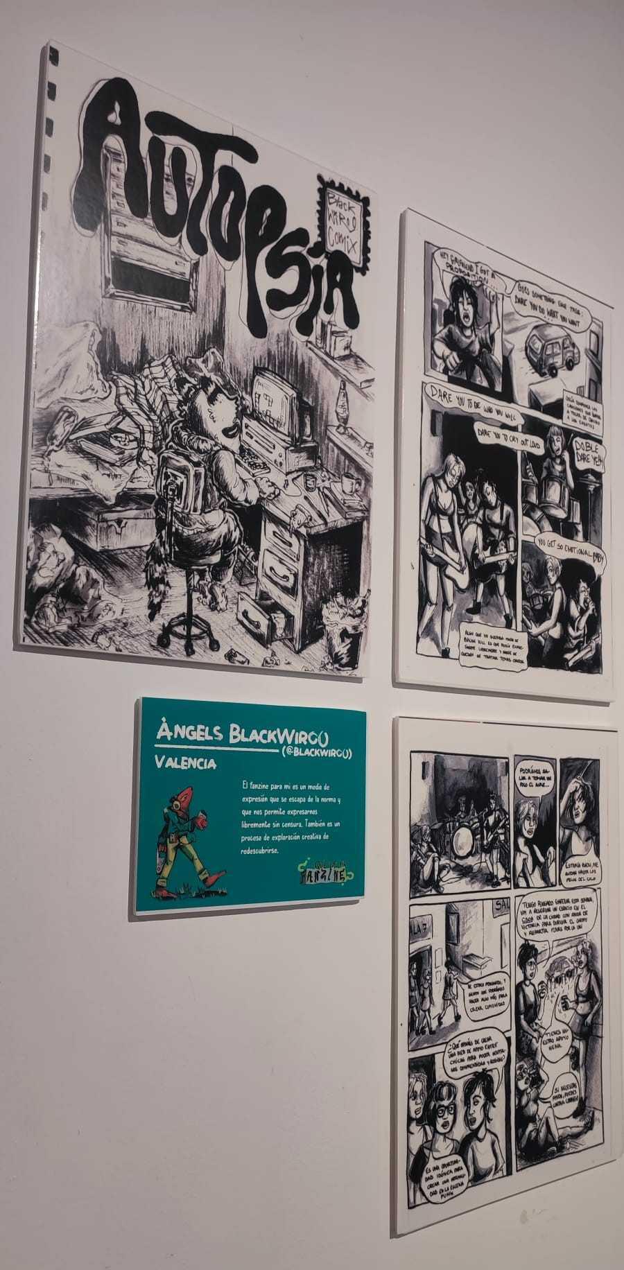 ¿Qué es el Fanzine?