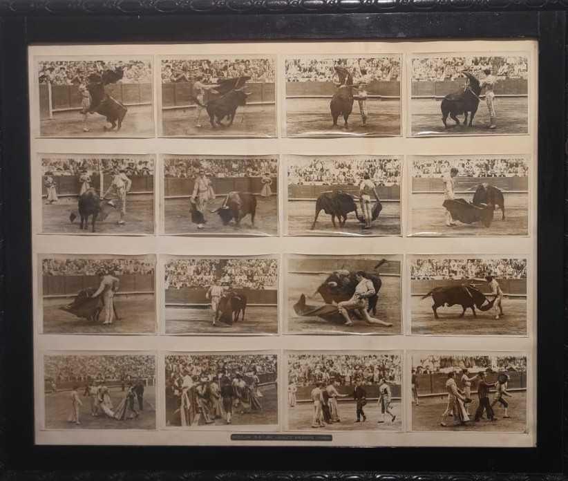 Exposición de Manolete Exposición de Manolete