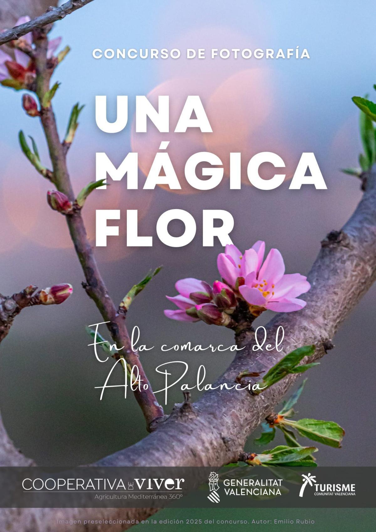 Concurso de fotografía “Una mágica flor en el Alto Palancia”