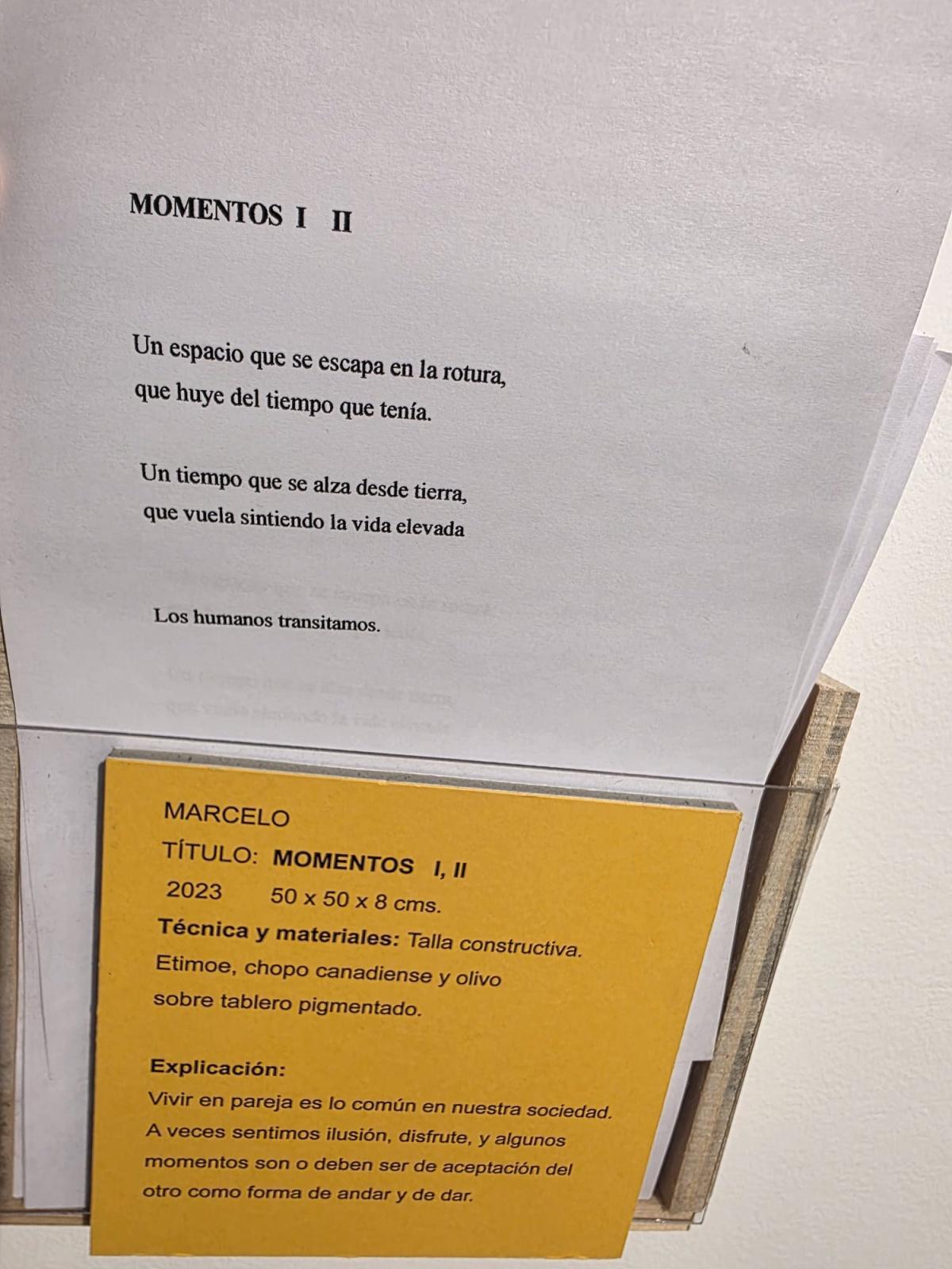Pulso almado, voz lignaria, de Marcelo Díaz