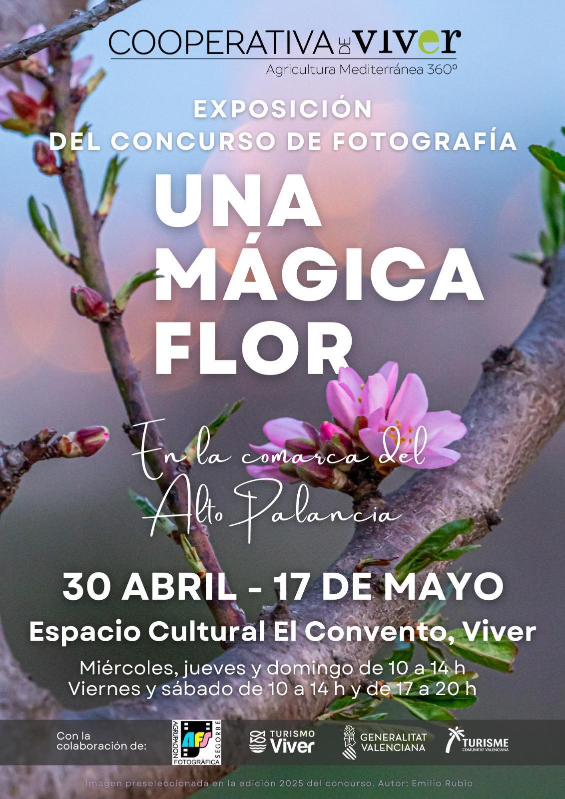Exposición fotográfica: Una mágica flor en la comarca del Alto Palancia