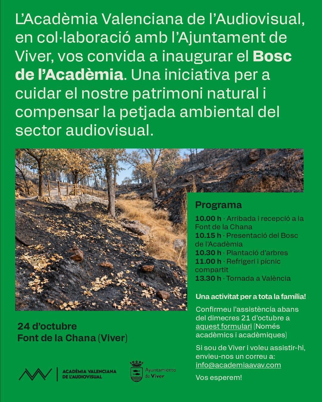 El Bosque de l’Acadèmia en Viver