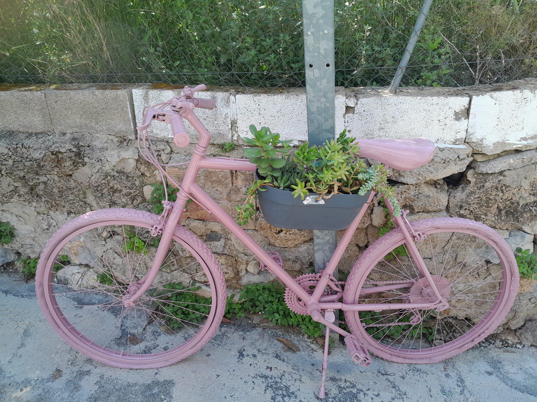 Decoración Bicicleta 