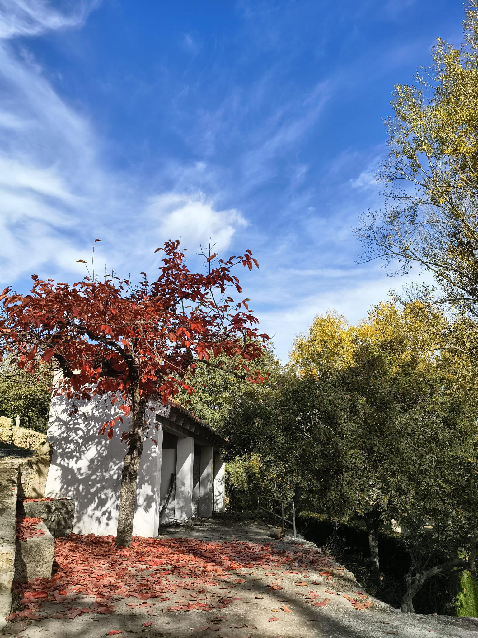 Turismo_Viver_Sargal