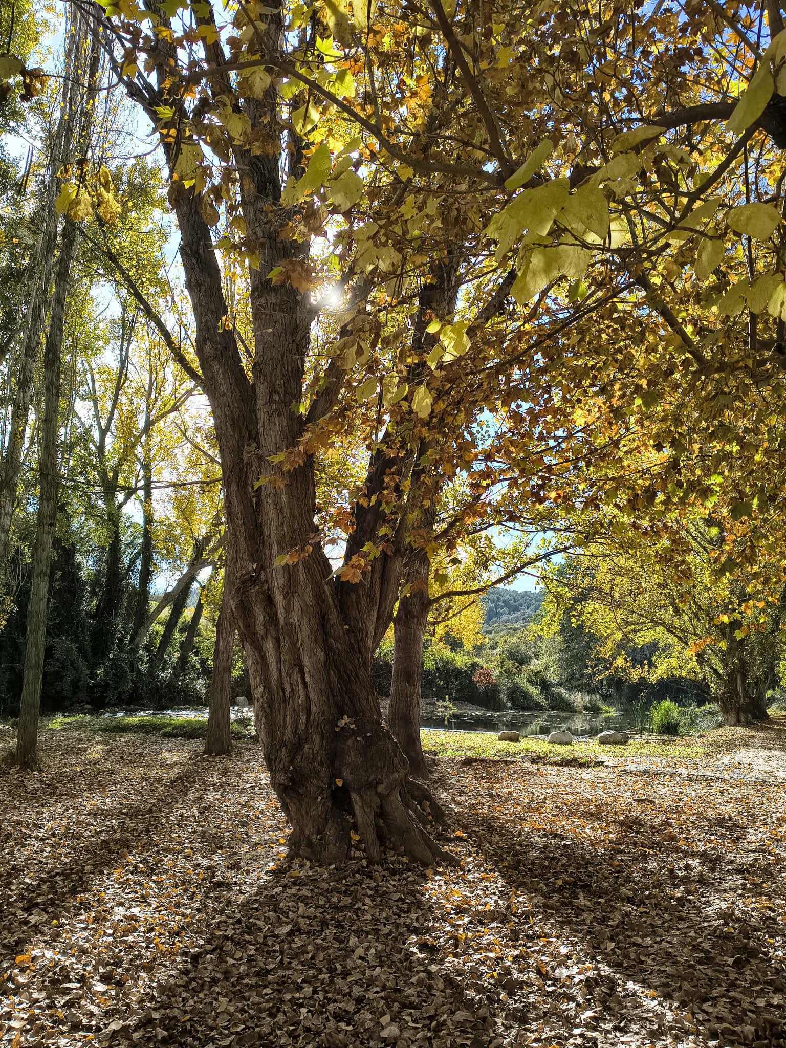 Turismo_Viver_Sargal