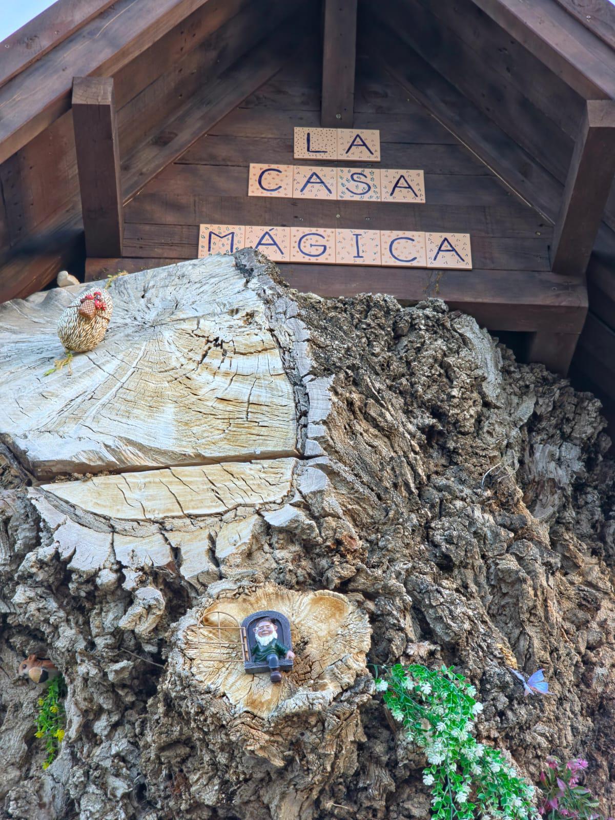 Turismo_Viver_La Casa Mágica