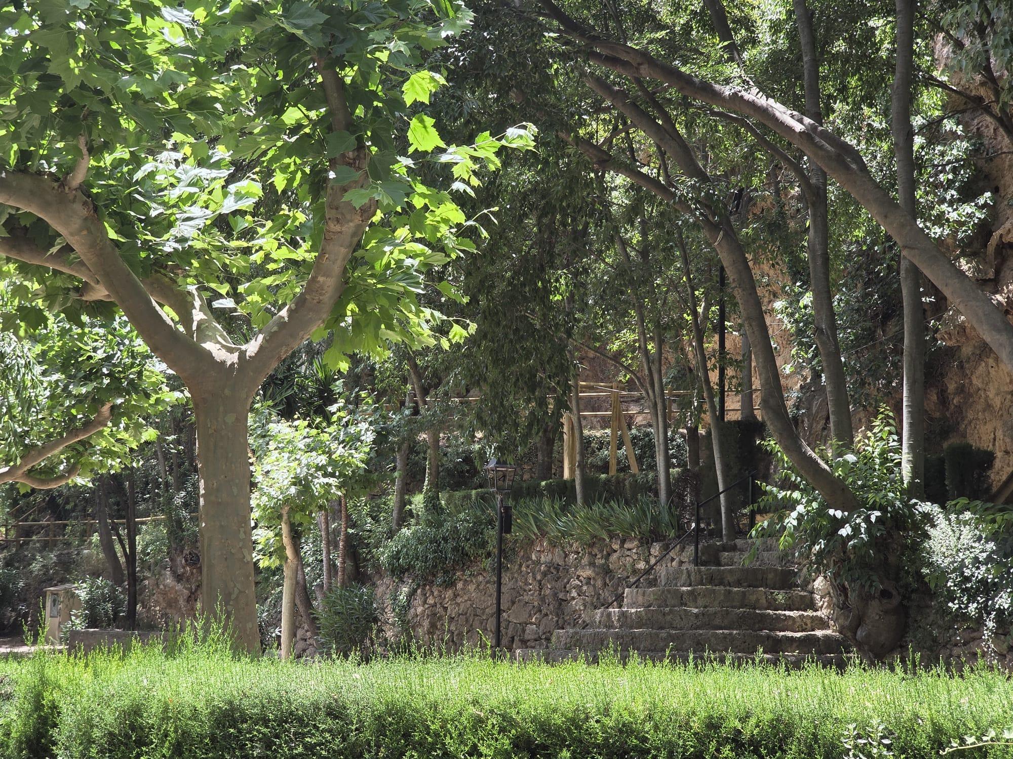 Turismo_Viver_Floresta 