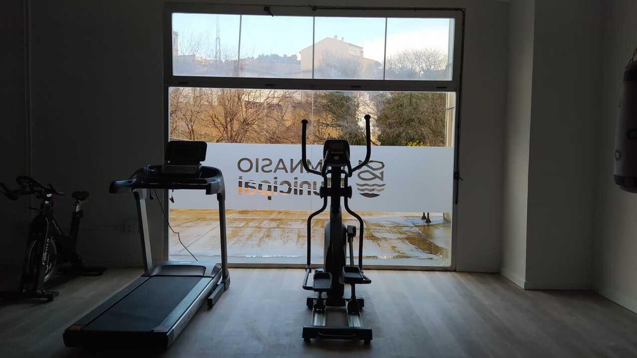 Desde el gimnasio
