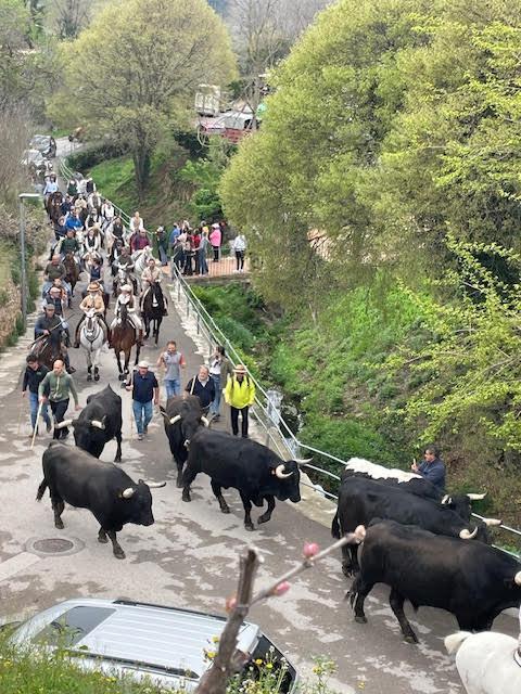 Encierro Campero