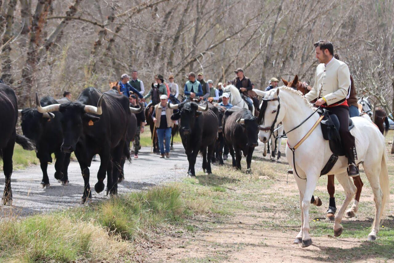 Encierro Campero