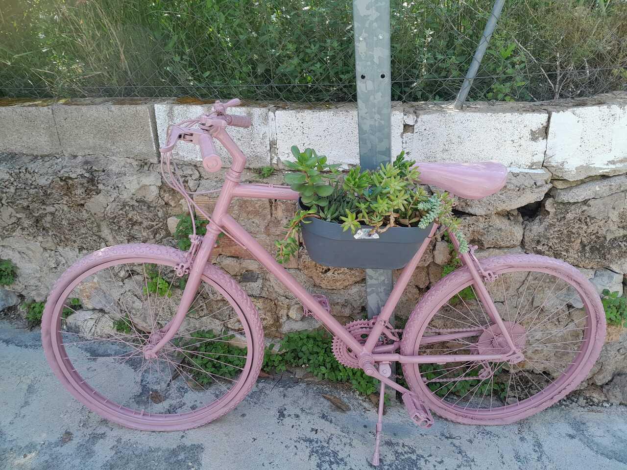 Decoración Bicicleta 