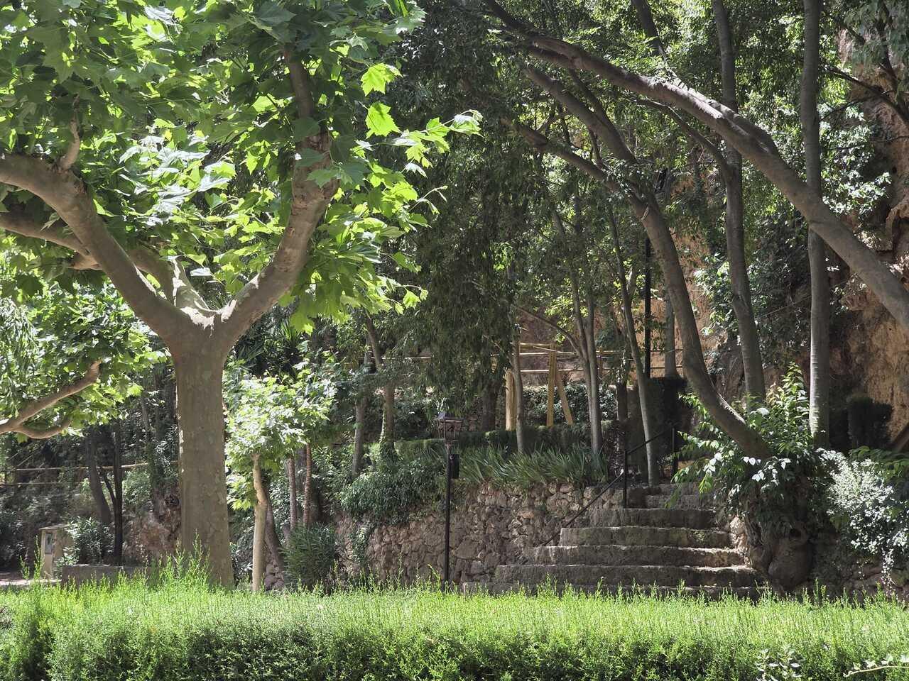Turismo_Viver_Floresta 