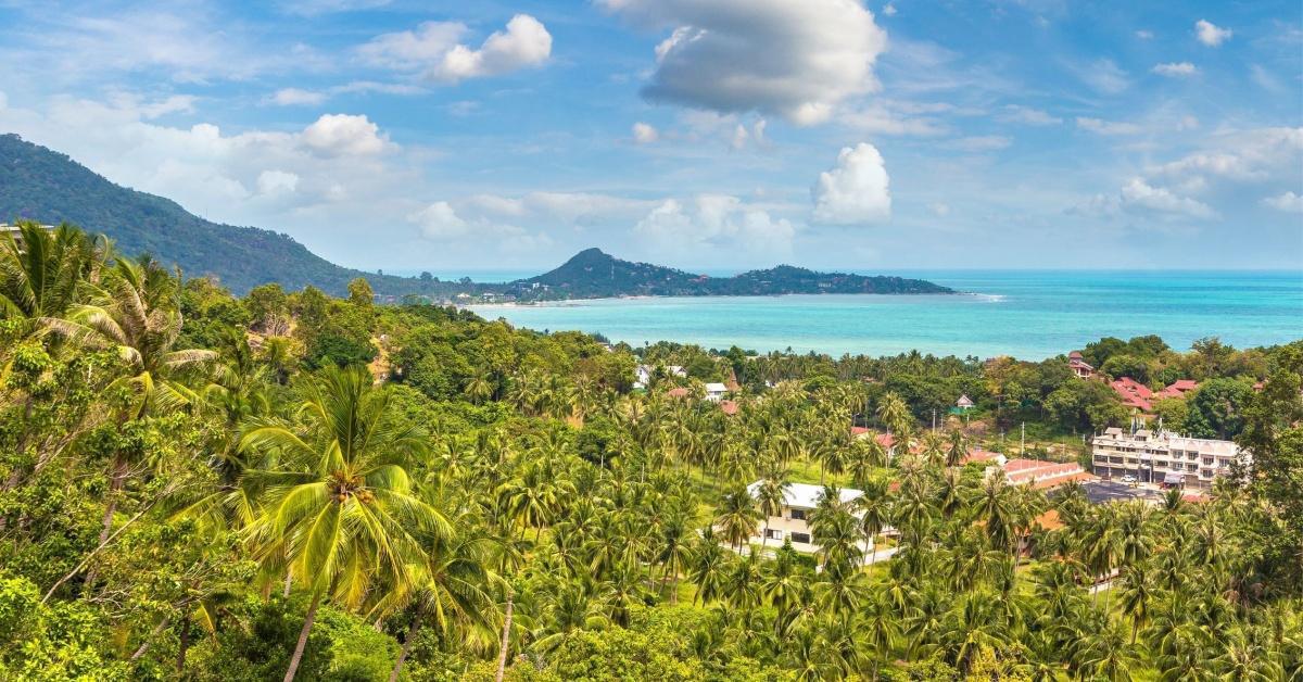 L'île de Koh Samui : un cadre d'exception pour vivre et investir