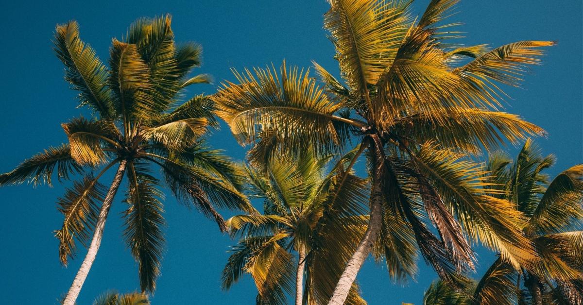 Formules & prix Formules & prix