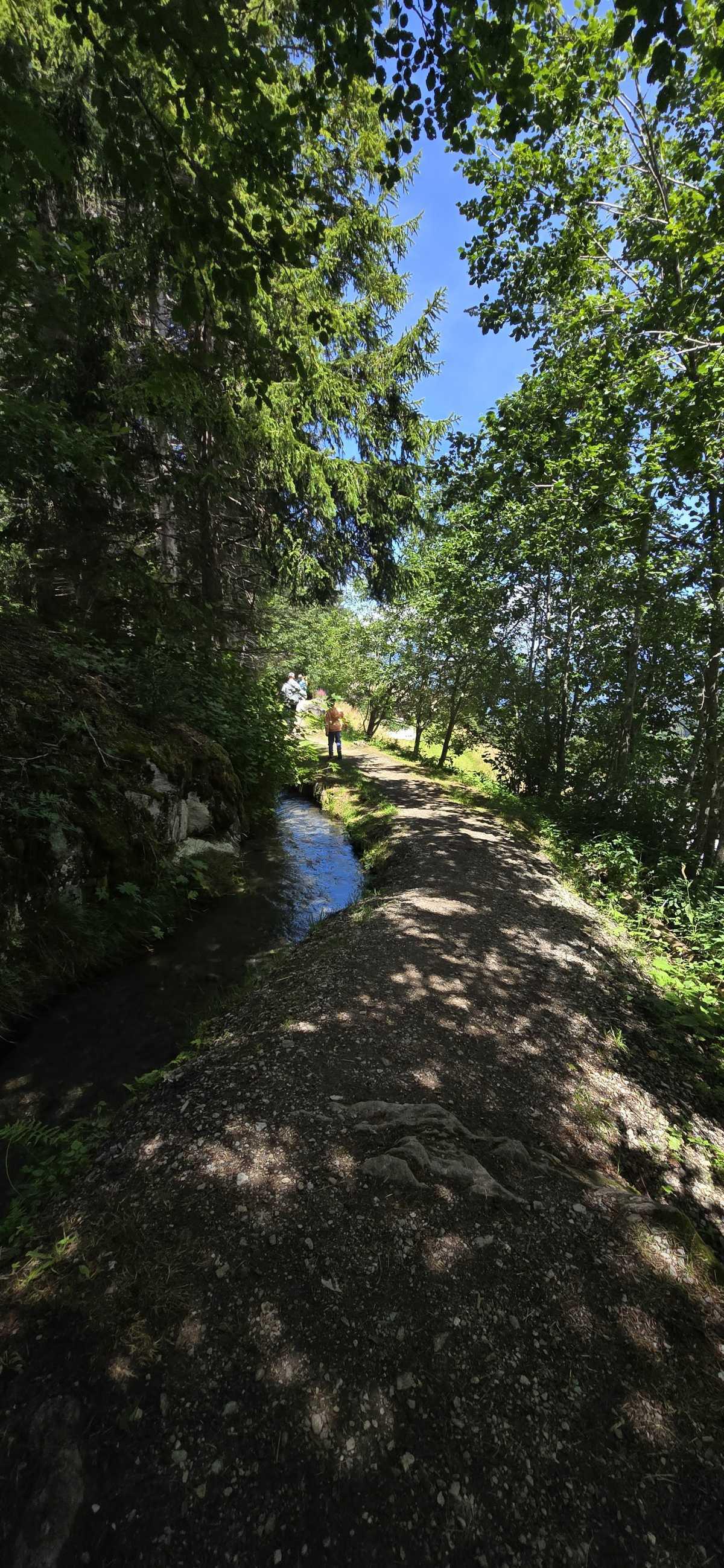 Randonnée familiale : le Bisse Vieux et le Bisse du Milieu Randonnée familiale : le Bisse Vieux et le Bisse du Milieu