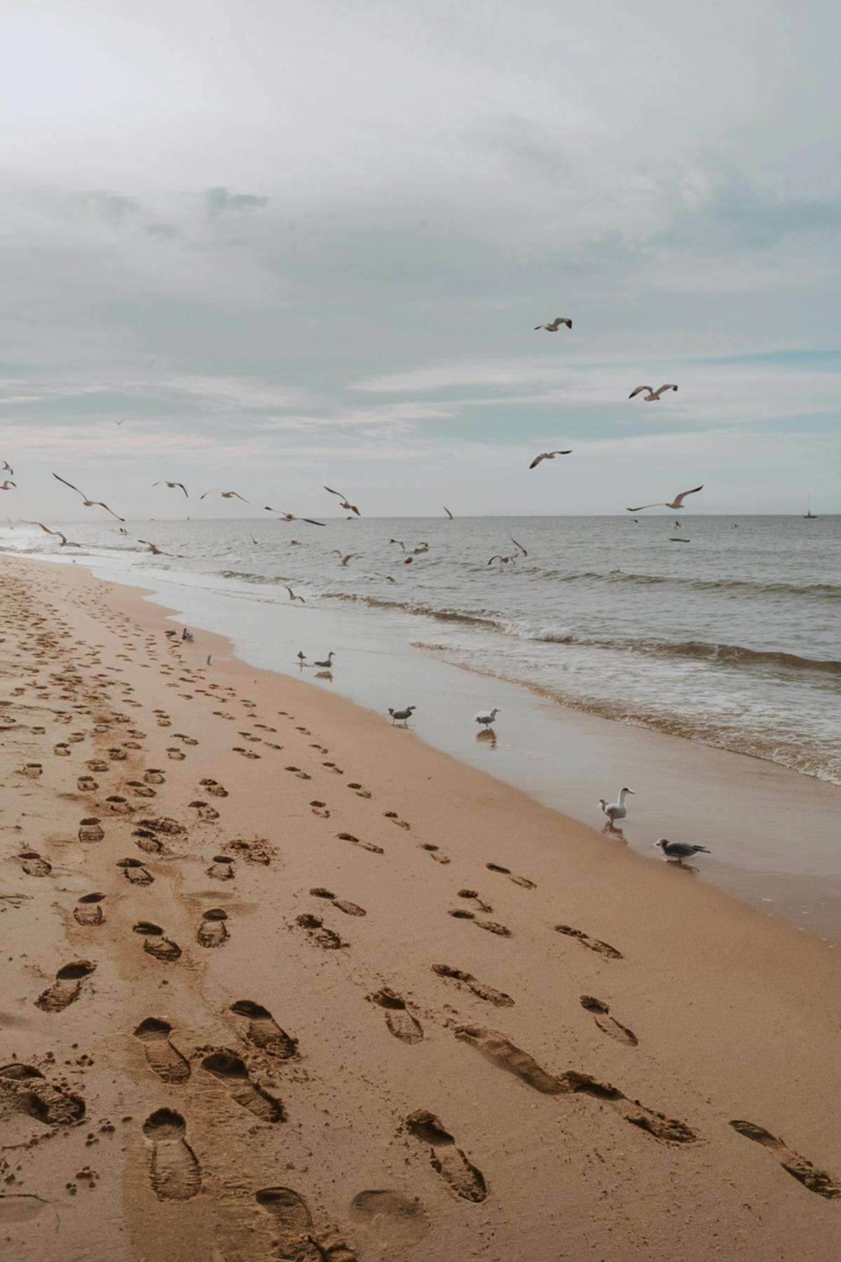 Azenhas do Mar : Petit village perché entre mer et falaises parfait pour une escapade 🌅familiale
