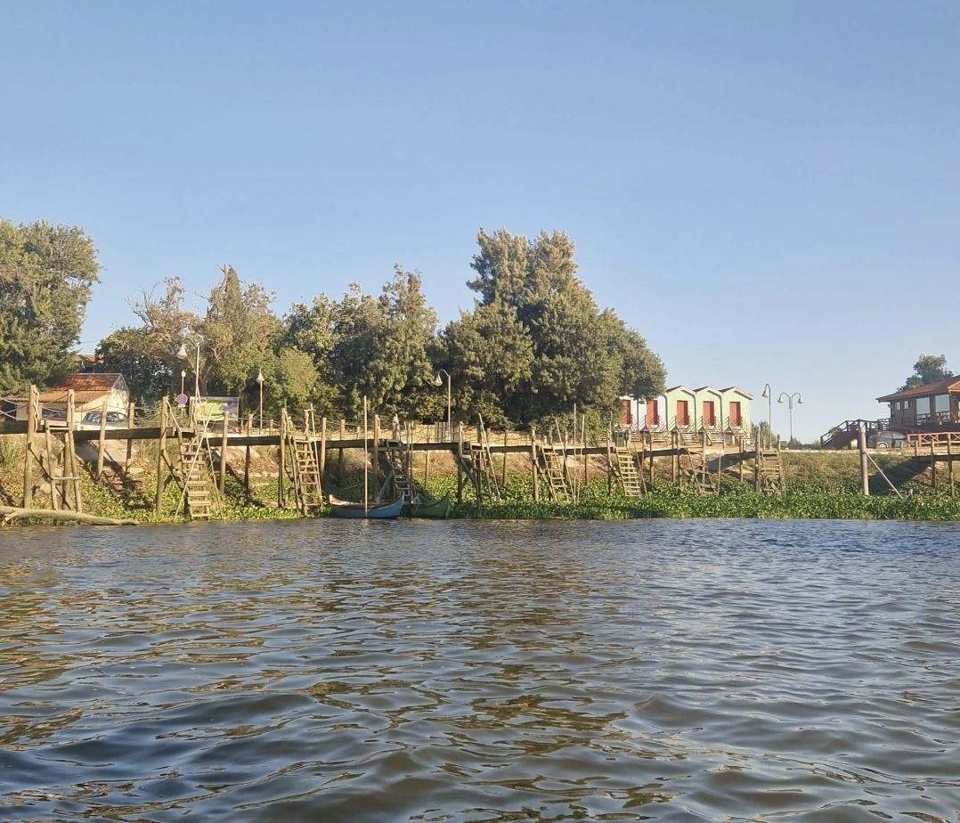Salvaterra de Magos : Une escapade au goût de mangrove à moins d'une heure de Lisbonne