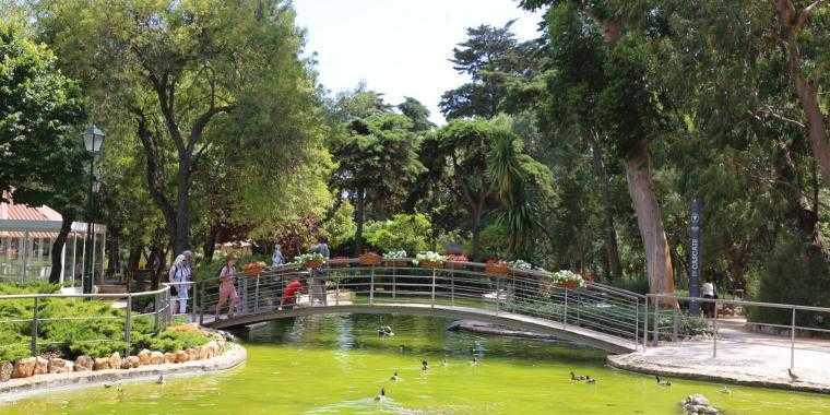 Parque Marechal Carmona (Cascais) : Un havre de nature au cœur de la ville 🌿 Parque Marechal Carmona (Cascais) : Un havre de nature au cœur de la ville 🌿