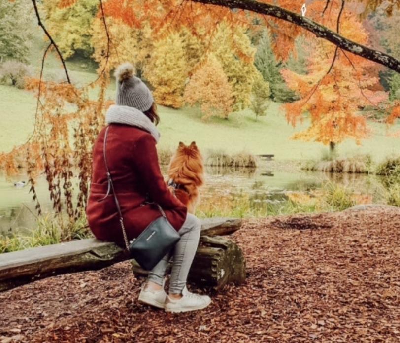 L’Arboretum d’Aubonne : une balade féérique en famille 🍂