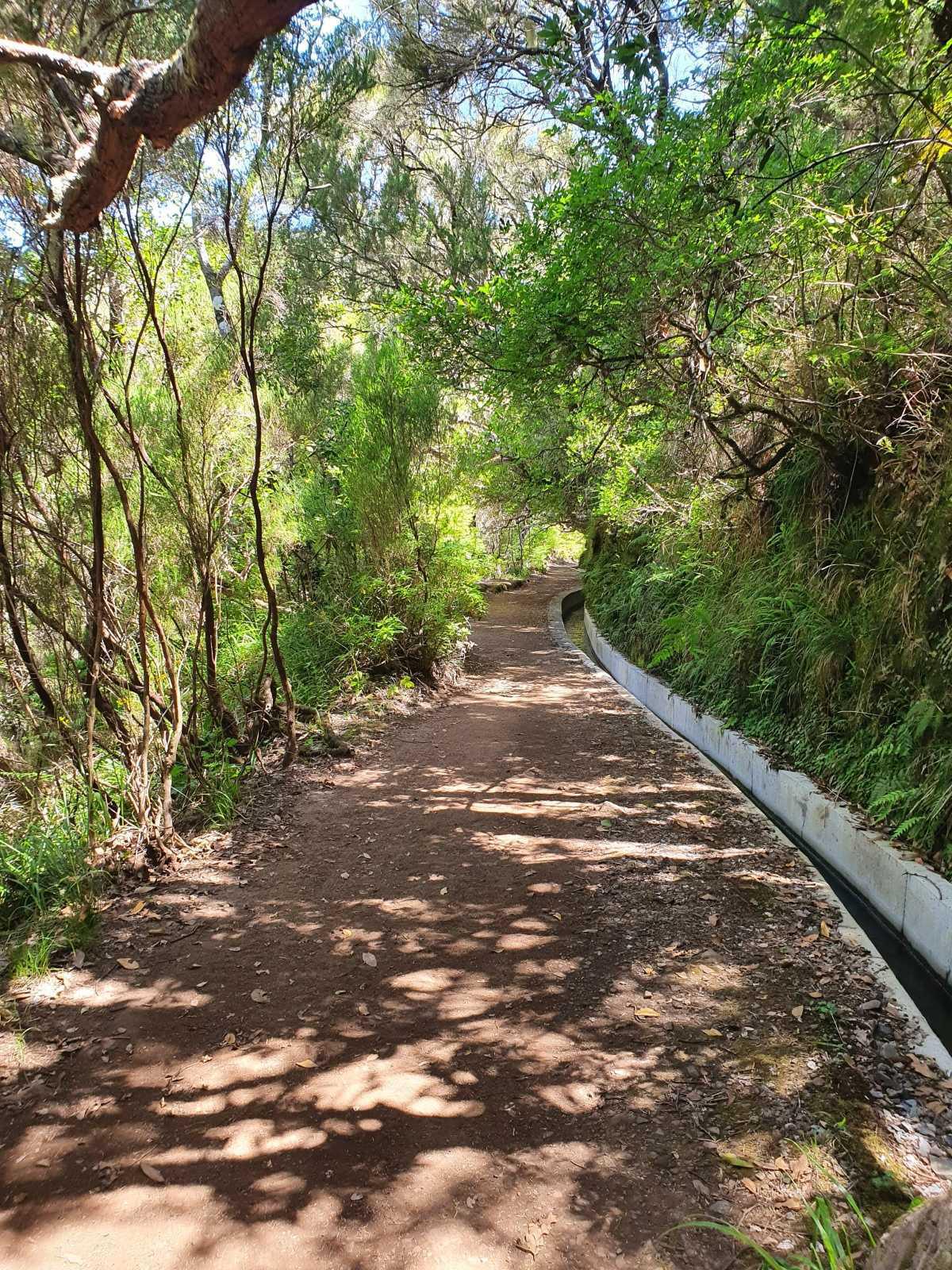 Calheta (Madère) : Le coin ensoleillé et paisible de Madère pour des vacances nature en famille 🌞🌴