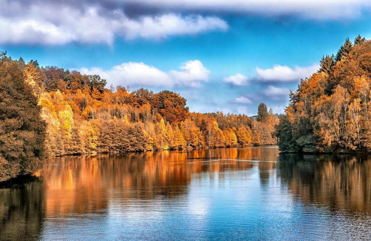 🍁 Où partir pendant les vacances de la Toussaint avec des enfants ? Nos idées famille pour un automne magique 🍁 Où partir pendant les vacances de la Toussaint avec des enfants ? Nos idées famille pour un automne magique