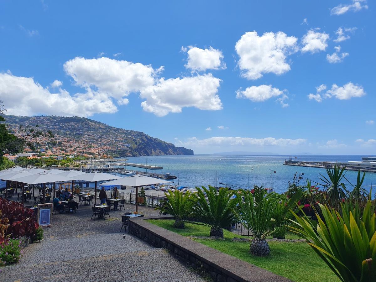 Funchal, Madère : Une découverte gourmande et aérienne au cœur de l’île aux fleurs 🌺🚡