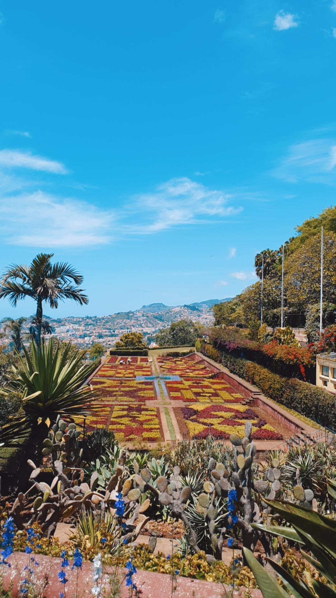 Funchal, Madère : Une découverte gourmande et aérienne au cœur de l’île aux fleurs 🌺🚡