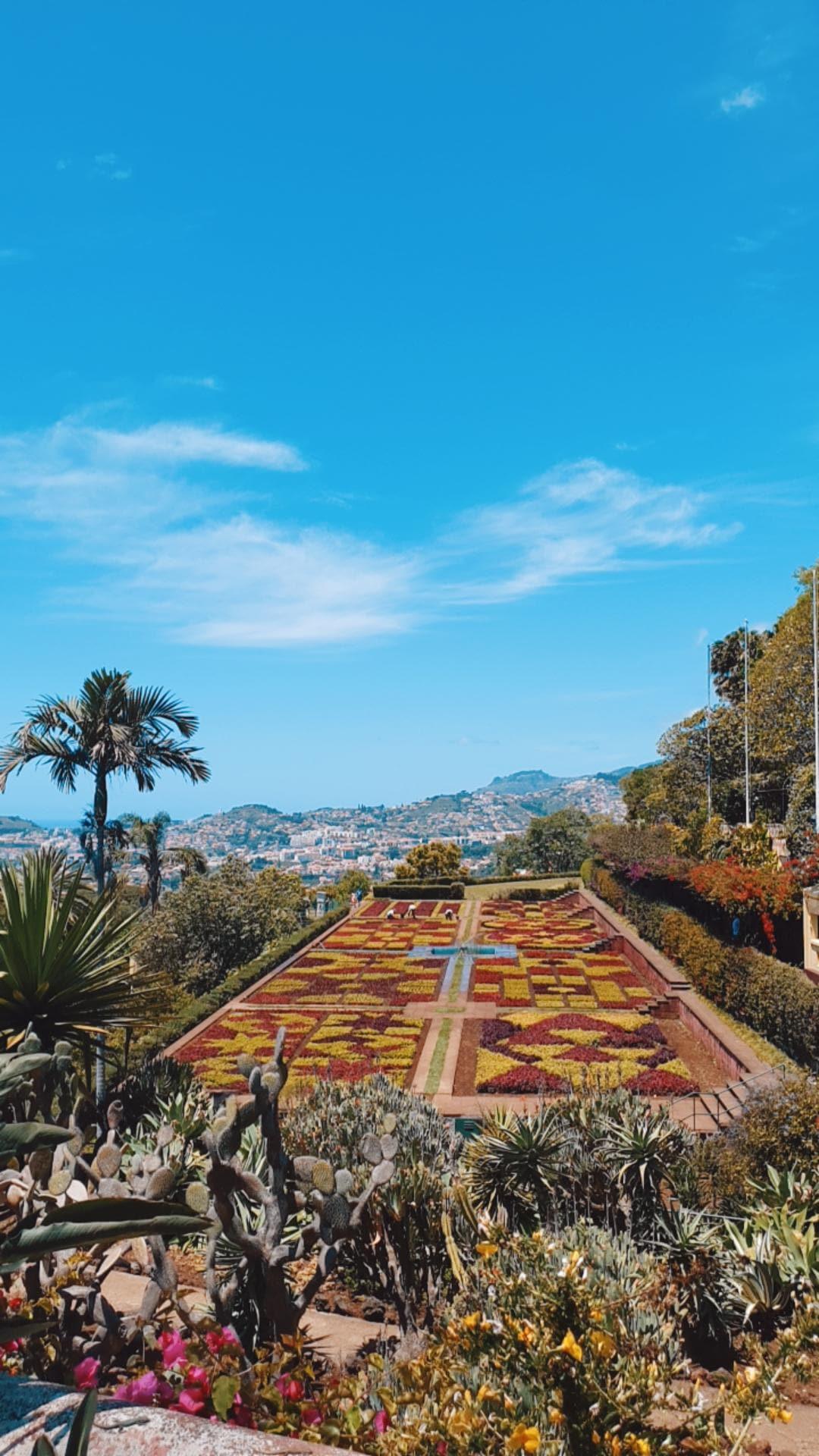 Jardin Botanique de Madère (Funchal) : Un tableau vivant aux mille couleurs à découvrir en famille 🌺🦎🌿 Jardin Botanique de Madère (Funchal) : Un tableau vivant aux mille couleurs à découvrir en famille 🌺🦎🌿