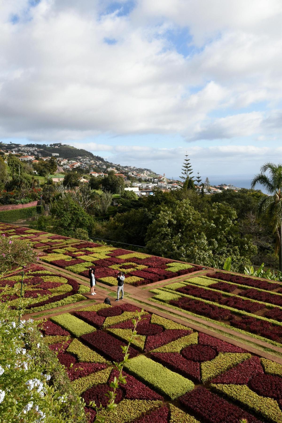 Jardin Botanique de Madère (Funchal) : Un tableau vivant aux mille couleurs à découvrir en famille 🌺🦎🌿 Jardin Botanique de Madère (Funchal) : Un tableau vivant aux mille couleurs à découvrir en famille 🌺🦎🌿