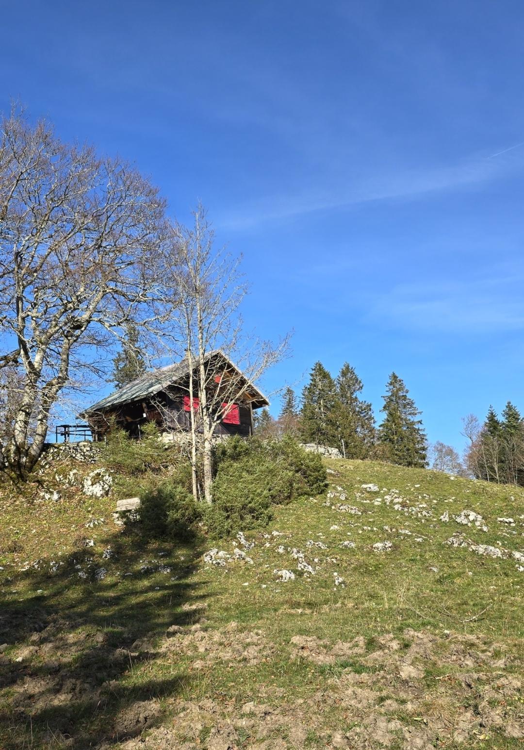 Dent de Vaulion (Jura vaudois, Suisse) : Une ascension familiale jusqu’au sommet avec vue sur toute la Romandie ! 🏞️🐾